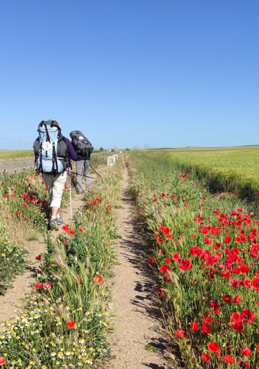 En juin, le chemin reste un jardin de fleurs